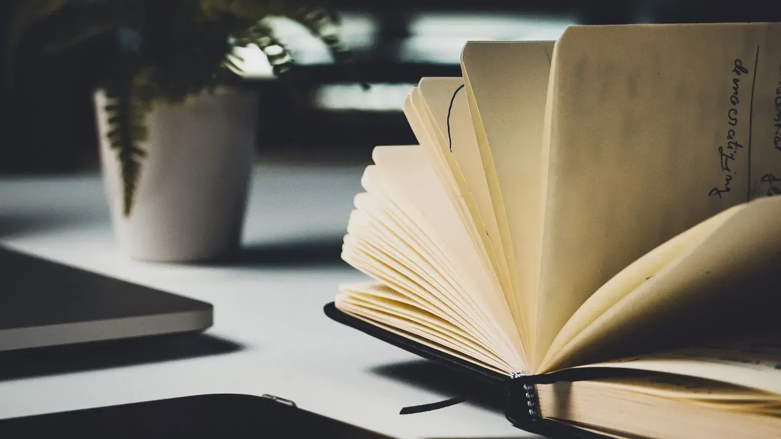 Letter From Future-Self: Is Freelancing For You?